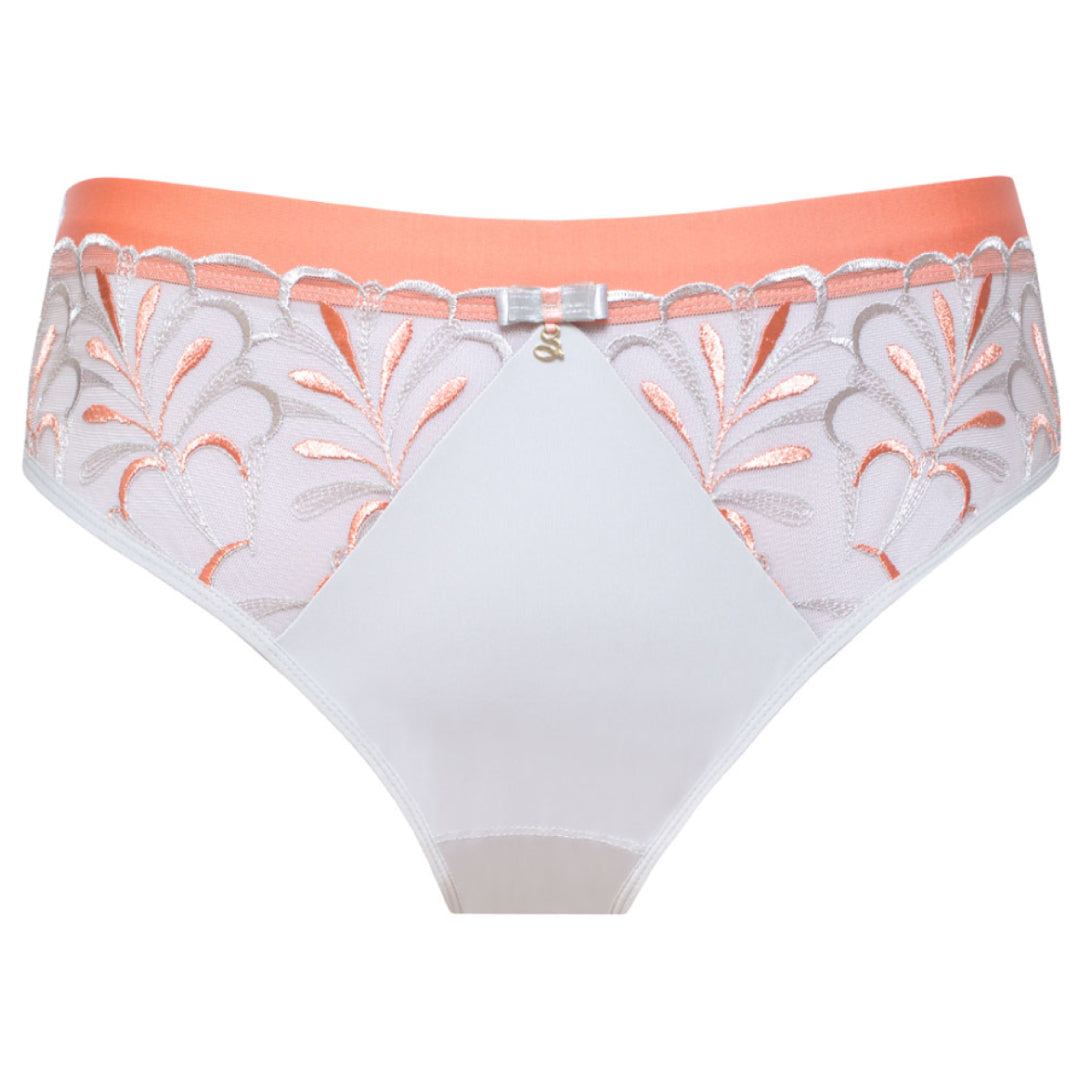 Sheer Mesh Tulle Embroidered Brief Panty Sweet