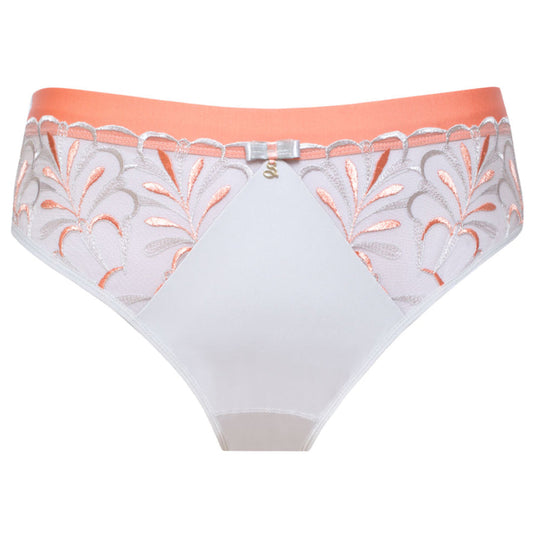 Sheer Mesh Tulle Embroidered Brief Panty Sweet